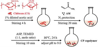 Enhanced Healing and Antimicrobial Efficacy of Chitosan-g-Polyacrylamide in a Rat Model of Gingival Ulcers